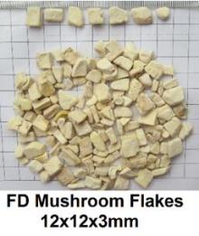  FD   Mushroom  flakes 12*12*3mm