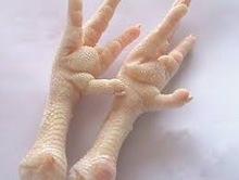 Processed Grade AA+ Frozen Chicken Paws for sale