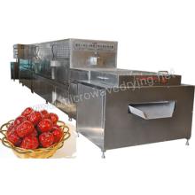 Microwave Dates Drying Equipment
