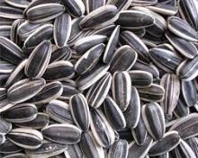 good price china factory Sunflower Seed