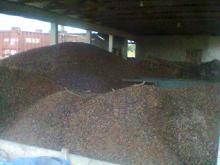  Palm  Kernel Shells