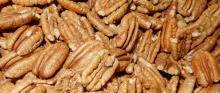 Roasted pecans nuts