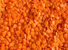 100% Red  Split   Lentils  & Green  Split   Lentils  ,  Lentils  Beans Suppliers for Sale