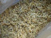  DRY   ANCHOVY 