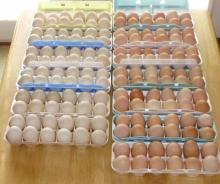 Farm Fresh Chicken Table Eggs
