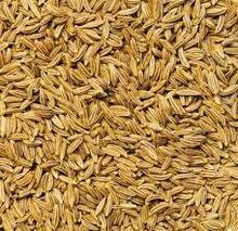 Organic Whole Cumin Seed, Bulk Whole Cumin Seed