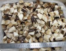 Frozen boletus edulis cube