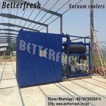Betterfresh Customized Vacuum Cooling Vegetable Cooling Folwer Cooling Vacuum Cooler Precooler