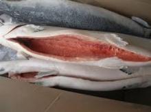  Frozen   Salmon   Fish 