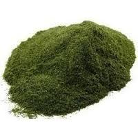  Neem  Powder