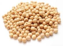 Soyabean Seeds (Whole & Oil)