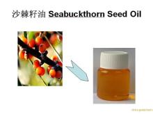  Herbal  Products Wholesaler Seabuckthorn Seed Oil Hippophae Extract China Manufacturer Cosmetic Ingre