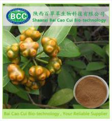 Morinda Root Extract