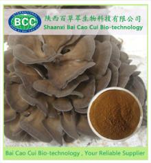  Maitake   Extract 