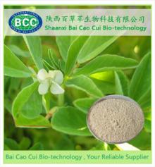 Common Fenugreek Seed Extract