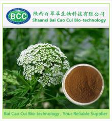  Cnidium   Fruit   Extract 