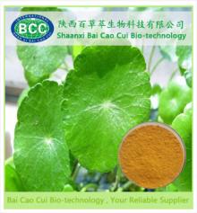 Herba Lysimachiae Extract