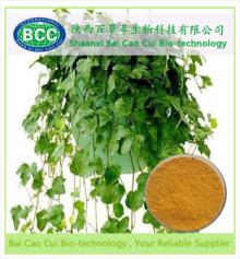 Chinese Ivy Stem Extract