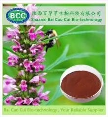 Motherwort Herb Extract