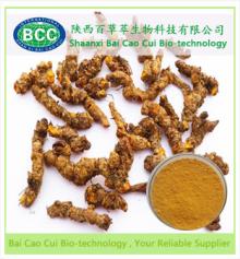 Chinese Goldthread Rhizome Extract