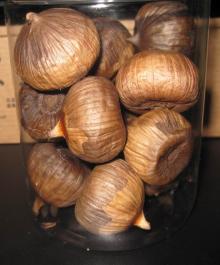 unpeeled black garlic-single clove