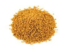  Yellow   Mustard  Seed