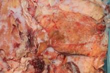 We offer frozen beef sinews