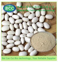 White kidney bean extract