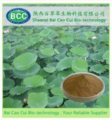 Lotus leaf extract