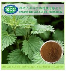 Hairyvein Agrimonia Herb Extract