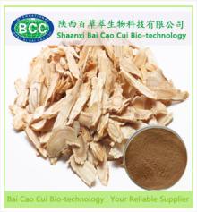  Angelica   Root   Extract 