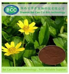  Dioscorea  Nipponica Extract