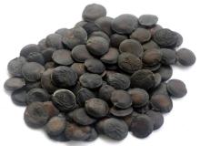 Griffonia Seed Extract GMP Manufacturer