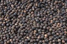 100% Natural High Quality Black Pepper 550g/l