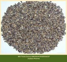 Milk thistle extract GMP Manufacturer