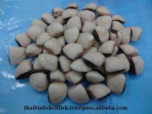 FROZEN COOKED WHOLE WHITE CLAM SHELL ON ( HIGH QUALITY)