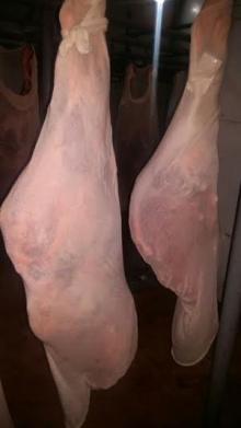 Freshly Chilled Beef Veal Carcasses W/R or 3 pieces