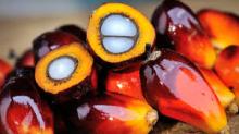 crude palm oil for sale