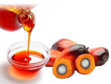 Palm Kennel Oil,Castel Oil,Coco Nut Oil,Sunflower ..