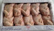 Halal Whole Chicken1