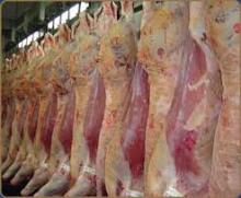 HALAL FRESH / FROZEN GOAT / LAMB / SHEEP MEAT / CARCASS