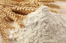 high protein wheat flour