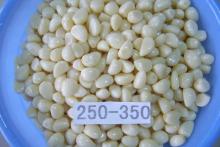 pickled garlic cloves in brine/  salted  garlic cloves / garlic cloves in brine