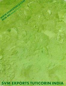 Pure Moringa Leaf Powder Suppliers India