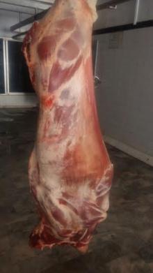 Freshly Chilled Beef Carcasses W/R or 3 pieces