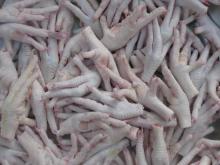 Frozen Chicken Paws 35 grams size Pakistan origin