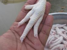 Frozen Chicken Paws 30~35 grams size (Pakistani Origin)