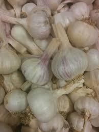 Clean Fresh Ginger ,Fresh Onions and Fresh Garlic for Sale