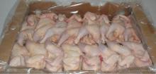 Quality Halal Frozen Whole Chicken and Parts / Gizzards / Thighs / Feet / Paws / Drumsticks