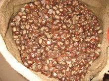  chestnut   roasted  and peeled organic chest nut